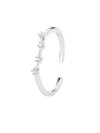 Zodiac - Constellation Ring