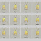 Rat - Seal Script Hollow Rect Necklace