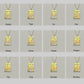 Dragon - Seal Script Hollow Rect Necklace