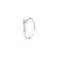 Zodiac - Constellation Ring